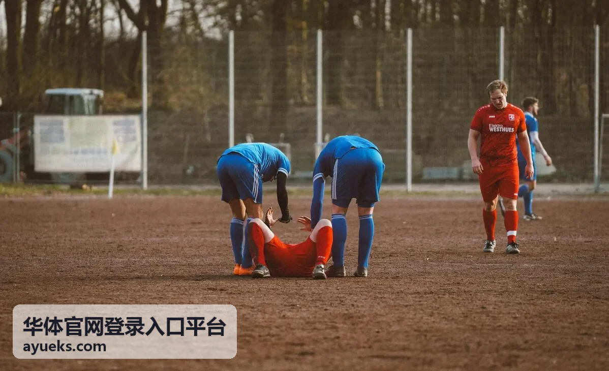 华体官网登录入口平台城市骑行嘉年华报名封面