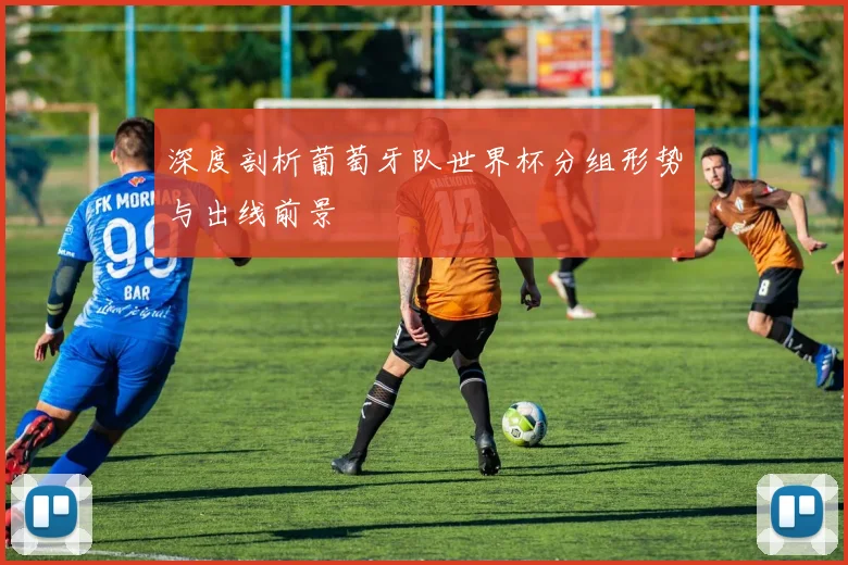 深度剖析葡萄牙队世界杯分组形势与出线前景