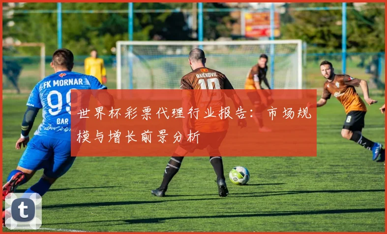 世界杯彩票代理行业报告：市场规模与增长前景分析